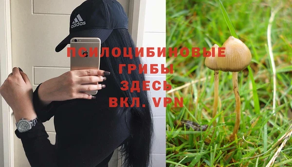 MDMA Premium VHQ Армянск