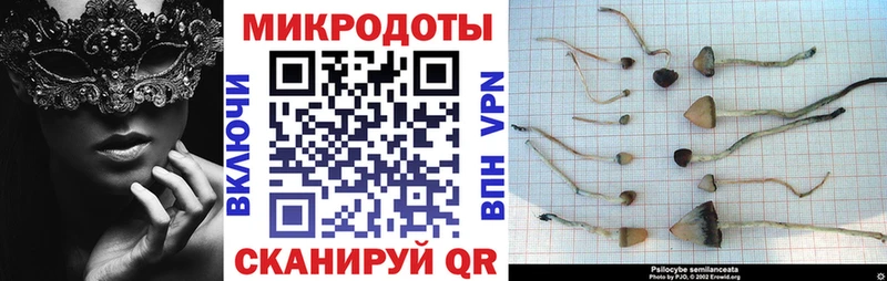 ссылка на мегу ТОР  Старый Оскол  Галлюциногенные грибы Cubensis 